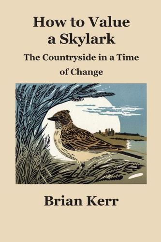 How to Value a Skylark: The Countryside in a Time of Change (Paperback)