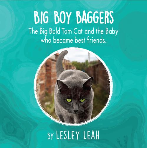 Big Boy Baggers: The Big Bold Tom Cat and the Baby Who Became Best Friends (Paperback)