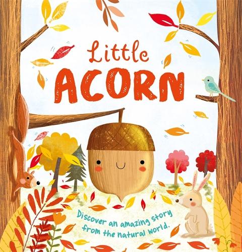 Nature Stories: Little Acorn by Igloo Books Ltd | Waterstones