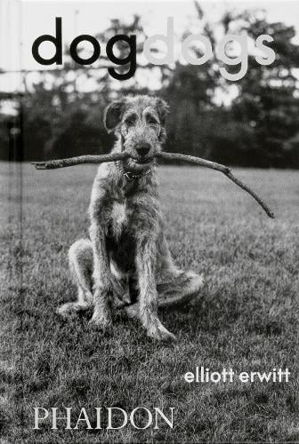 DogDogs (Hardback)