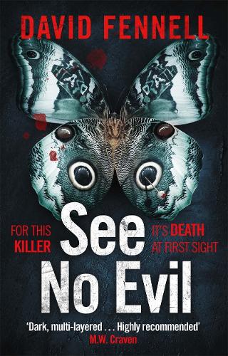 See No Evil (Paperback)