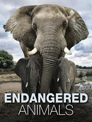 Endangered Animals - Animals (Hardback)