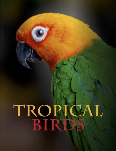 Tropical Birds - Animals (Hardback)
