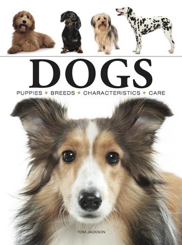 Dogs - Mini Animals (Paperback)