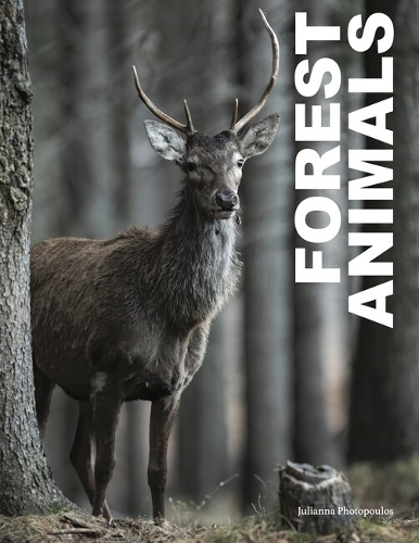 Forest Animals - Animals in Photographs (Hardback)