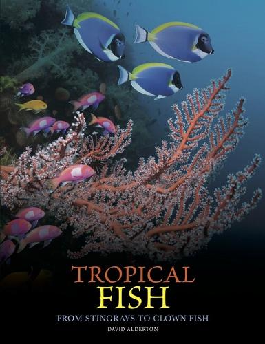 Tropical Fish by David Alderton Waterstones