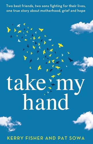 Take My Hand: Two best friends, two sons fighting for their lives, one true story about motherhood, grief and hope. (Paperback)