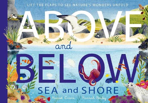 Above and Below: Sea and Shore: Lift the flaps to see nature's wonders unfold - Above and Below (Hardback)