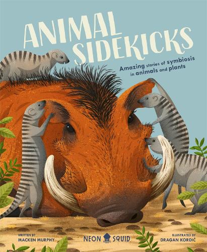 Animal Sidekicks: Amazing Stories of Symbiosis in Animals and Plants (Hardback)