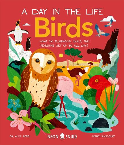 Birds (A Day in the Life): What Do Flamingos, Owls, and Penguins Get Up To  All Day? - A Day In The Life (Hardback)