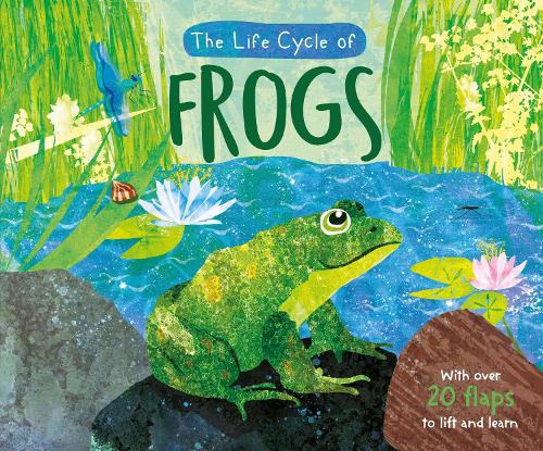 frog cycle uk