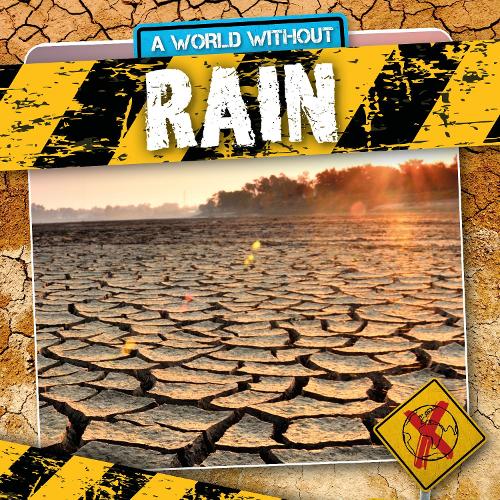 Rain - A World Without (Hardback)