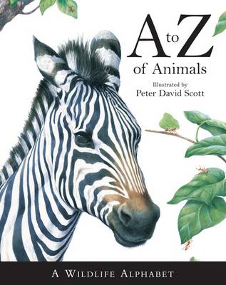 A -Z of Animals (Hardback)