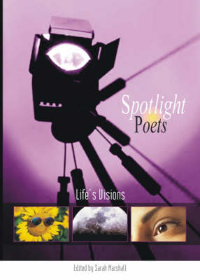 Life's Visions (Paperback)