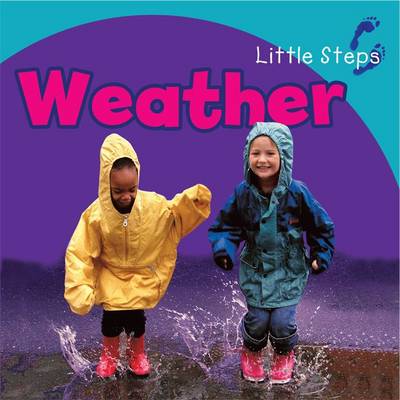 Weather - Little Steps (Board book)