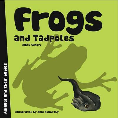 Frogs and Tadpoles - Animal Families (Board book)