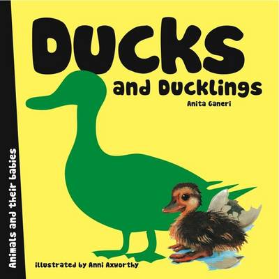 Ducks and Ducklings - Animal Families (Board book)