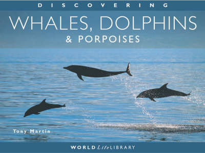 Discovering Whales, Dolphins and Porpoises - Worldlife Library (Paperback)