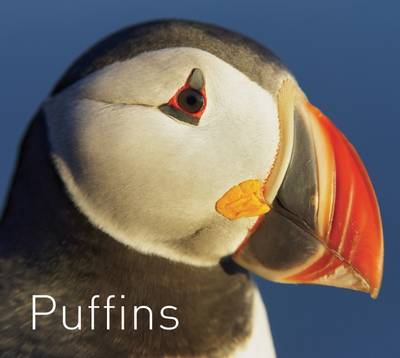 Puffins (Paperback)