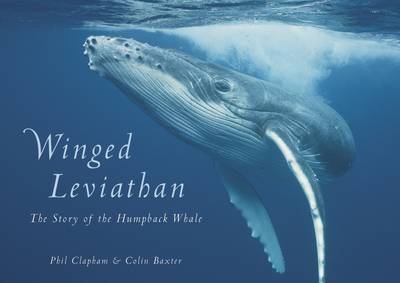 Winged Leviathan: The Story of the Humpback Whale (Hardback)