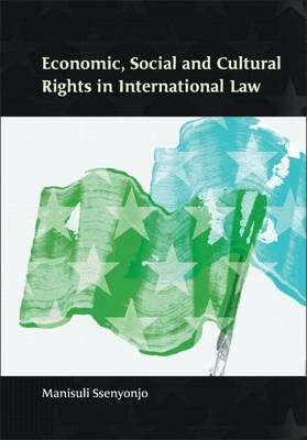 Economic, Social and Cultural Rights in International Law (Paperback)