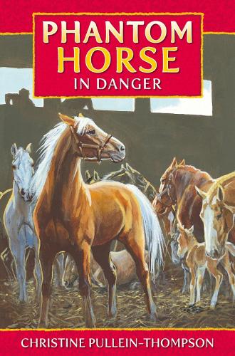 Phantom Horse in Danger - Phantom Horse (Paperback)