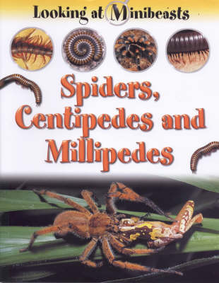 MINIBEASTS SPIDERS & CENTIPEDES (Paperback)