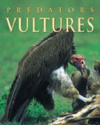PREDATORS VULTURES (Hardback)