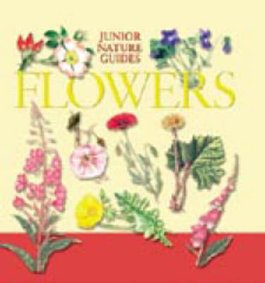 JR NATURE GUIDES WILD FLOWERS (Hardback)