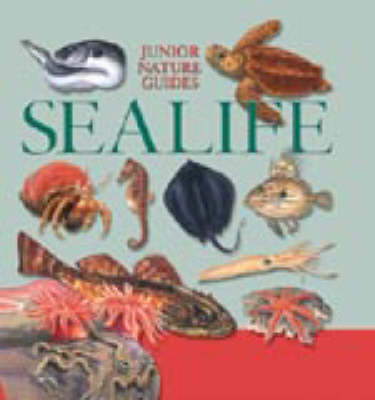 JR NATURE GUIDES SEALIFE (Hardback)