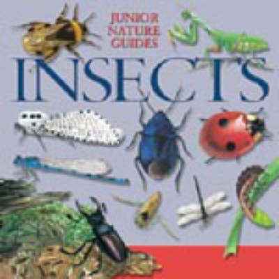 JR NATURE GUIDES INSECTS (Hardback)