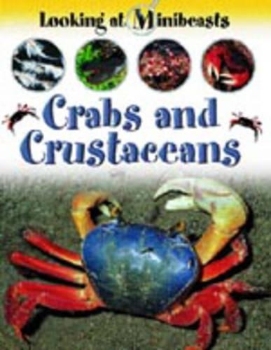 MINIBEASTS CRABS & CRUSTACEANS (Paperback)