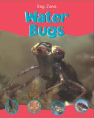 BUG ZONE WATER BUGS (Hardback)