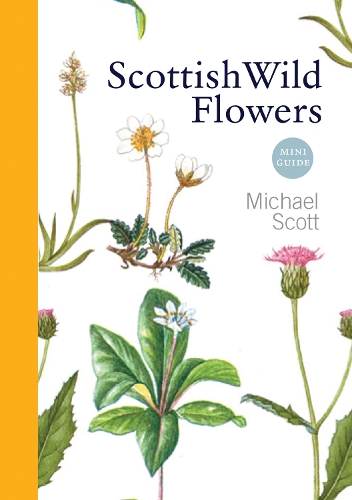 Scottish Wild Flowers: Mini Guide (Paperback)