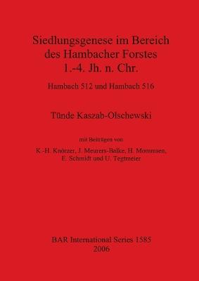 Siedlungsgenese im Bereich des Hambacher Forstes 1.-4. Jh. N. Chr. - Hambach 512 und Hambach 516: Hambach 512 und Hambach 516 - British Archaeological Reports International Series (Paperback)