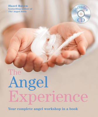 The Angel Experience: Your Complete Angel Workshop in a Book (Paperback)