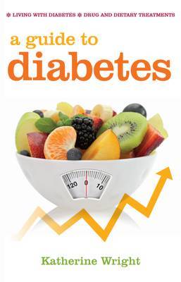 A Guide to Diabetes (Paperback)
