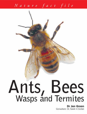 Ants, Bees, Wasps and Termites - Nature Fact File S. (Paperback)