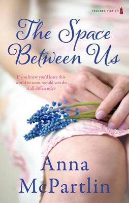 The Space Between Us (Paperback)
