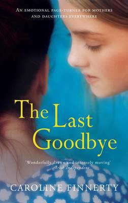 The Last Goodbye (Paperback)