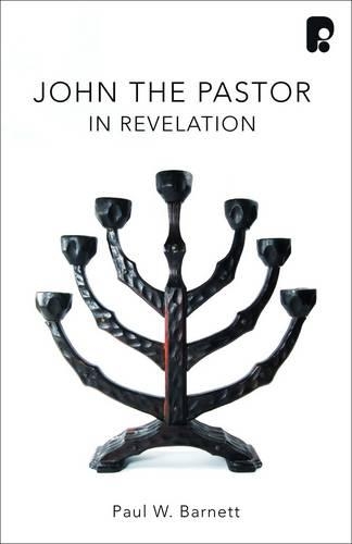 John the Pastor: Encouragement for a Struggling Church: A Prophecy of Grace and Hope for Today's Church (Paperback)