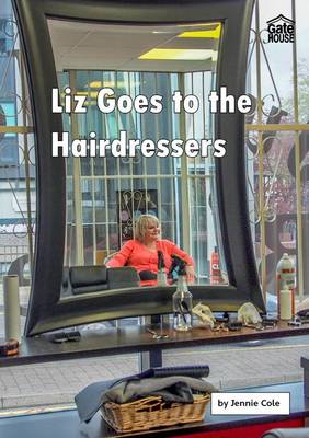 Liz Goes to the Hairdressers - Liz and Joe Series (Paperback)