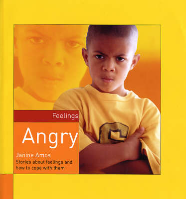 Angry - Feelings (Hardback)