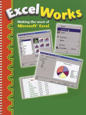 Excel Works: Making the Most of Microsoft Excel (Spiral bound)