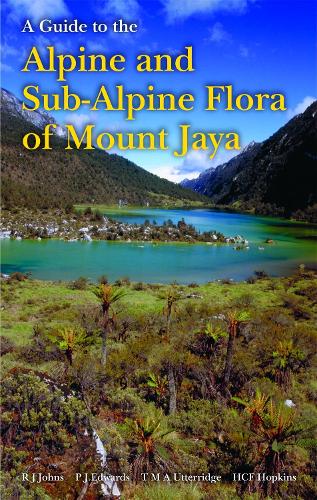 Guide to the Alpine and Subalpine Flora of Mount Jaya, A (Hardback)