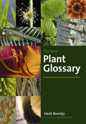 The Kew Plant Glossary: An Illustrated Dictionary of Plant Identification Terms (Paperback)