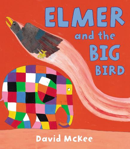 Elmer and the Big Bird - Elmer Picture Books (Paperback)