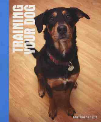 Training Your Dog (Hardback)