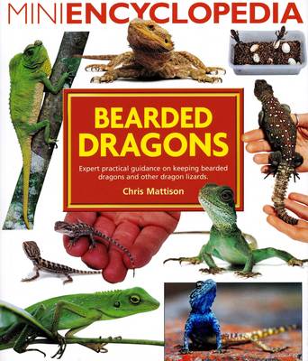 Mini Encyclopedia of Bearded Dragons (Paperback)