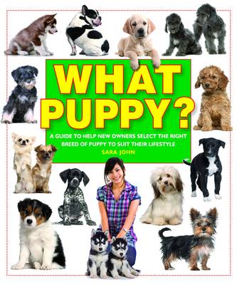 What Puppy?: A Guide to Help New Owners Select the Right Breed of Puppy to Suit Their Lifestyle - What Pet? 6 (Paperback)